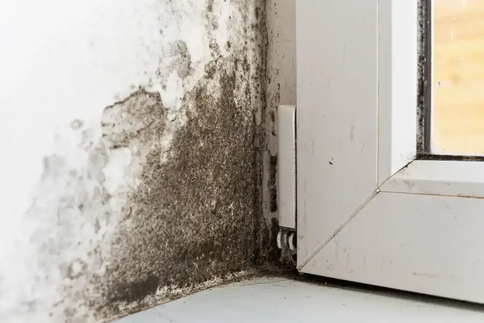 Water Damage in Butte, AK