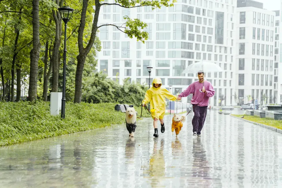 Water Damage Girdwood