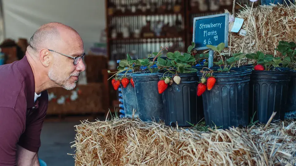 Local Expertise Serving Tanaina, Alaska and the Mat-Su Valley — Tanaina, AK